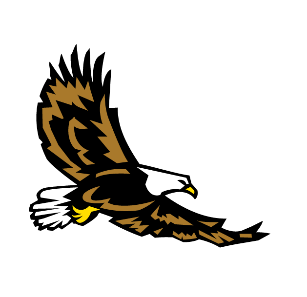 Soar Like Eagles